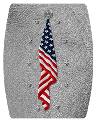 DAREC 421 SH SL Flag at Rest Shimmer Silver